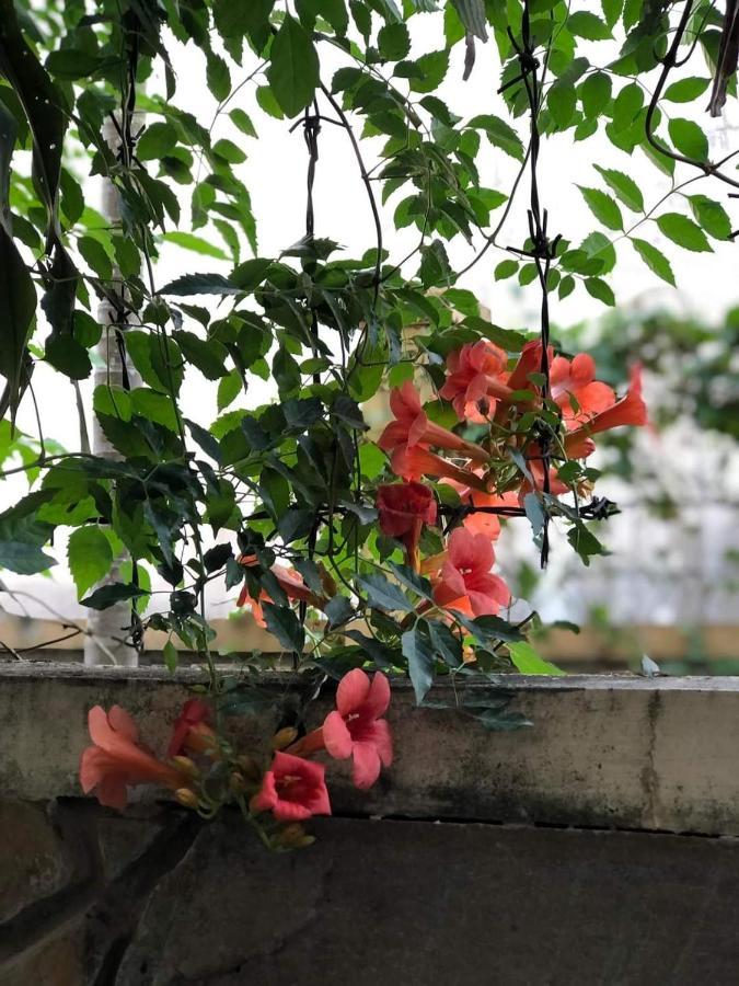 Hidden Hue Homestay Ngoại thất bức ảnh