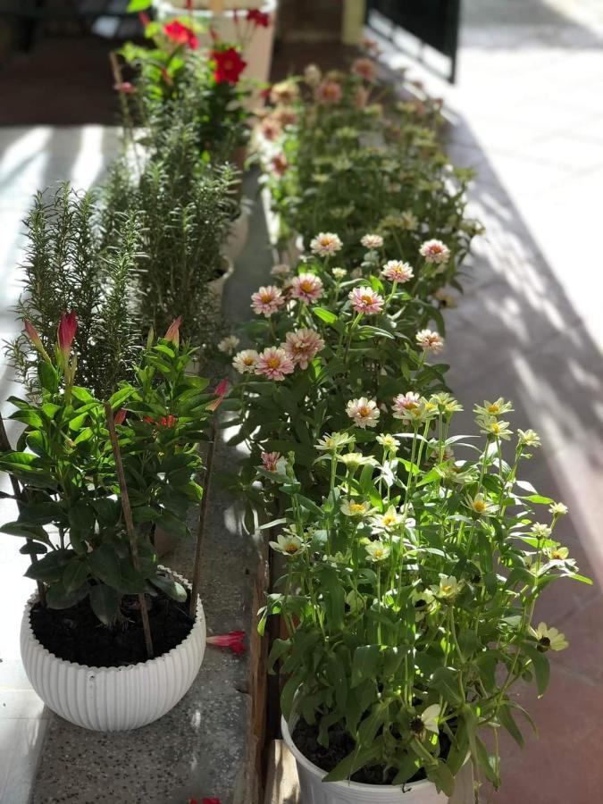 Hidden Hue Homestay Ngoại thất bức ảnh