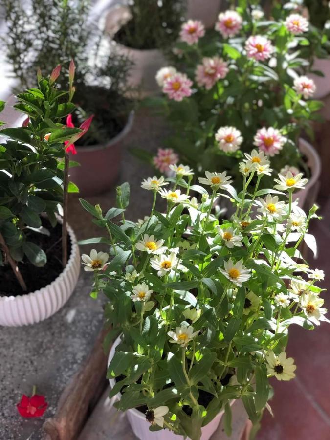 Hidden Hue Homestay Ngoại thất bức ảnh